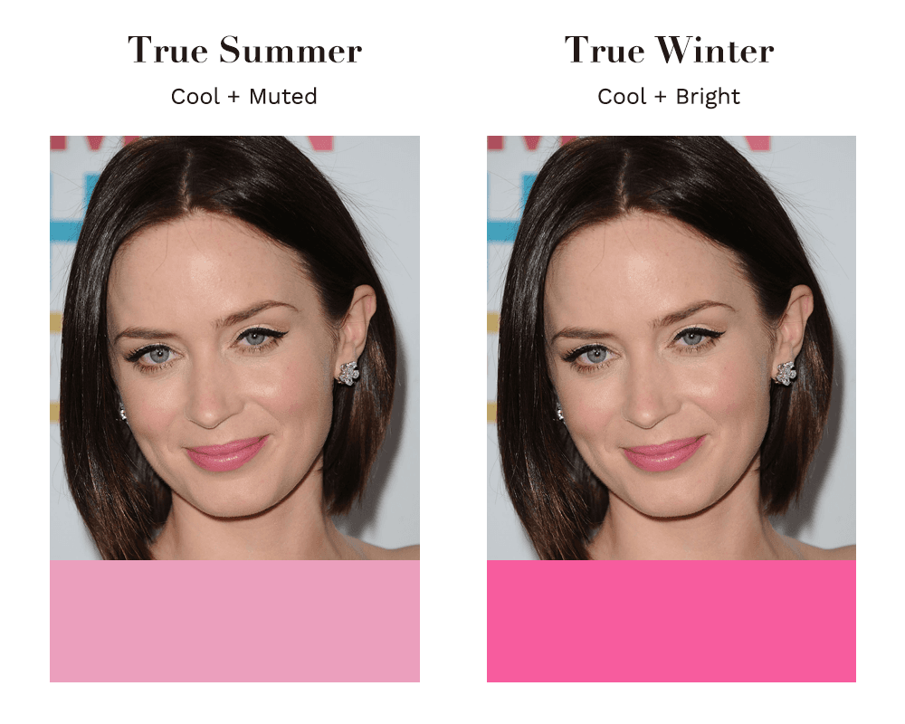 True Summer vs True Winter What Is The Difference? the concept wardrobe